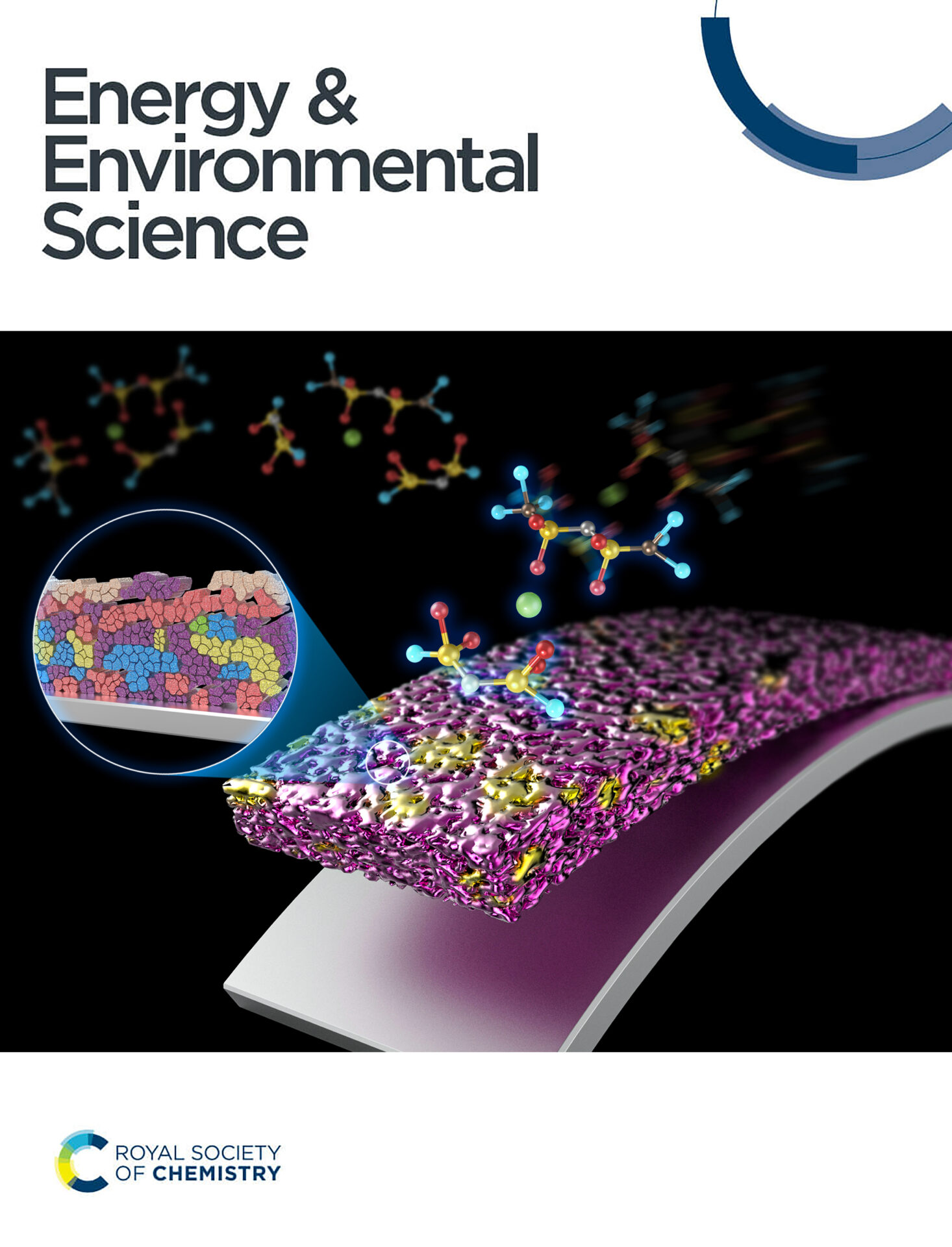 18(energy & environmental science)