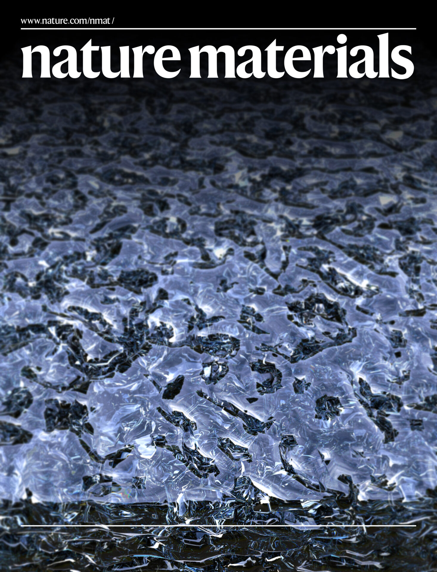 38nature materials 1