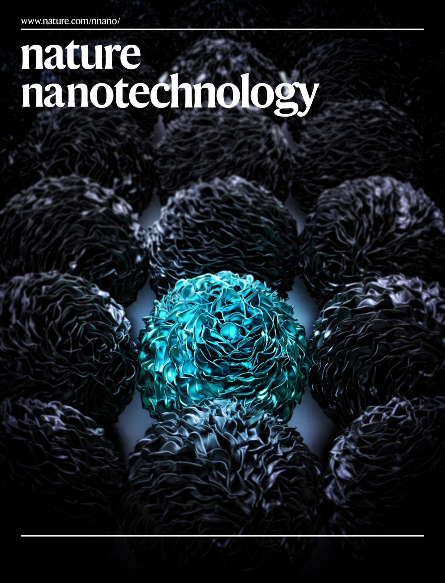 39nature nanotechnology 5